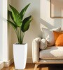 White Square Shaped Polymer Floor Planter