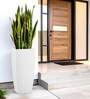 White Square Shaped Polymer Floor Planter