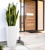 White Square Shaped Polymer Floor Planter