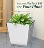 White Square Shaped Polymer Floor Planter