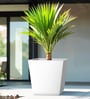 White Square Shaped Polymer Floor Planter