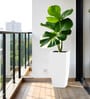 White Square Shaped Polymer Floor Planter