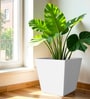 White Square Shaped Polymer Floor Planter