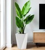White Square Shaped Polymer Floor Planter