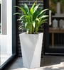 White Square Shaped Polymer Floor Planter