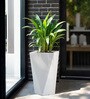 White Square Shaped Polymer Floor Planter