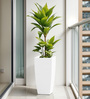 White Square Shaped Polymer Floor Planter