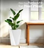 White Square Shaped Polymer Floor Planter