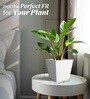 White Square Shaped Small Polymer Floor Planter
