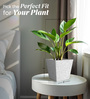 White Square Shaped Small Marble Polymer Floor Planter
