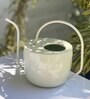 White Stainless Steel 2.5 Ltrs Multipurpose Long Spout Watering Can Gardening Tool