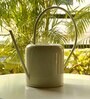 White Stainless Steel 2.5 Ltrs Multipurpose Long Spout Watering Can Gardening Tool
