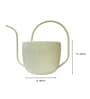 White Stainless Steel 2.5 Ltrs Multipurpose Long Spout Watering Can Gardening Tool