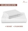 White Stripe 300 TC Cotton Super King Sized Bedsheet with 2 Pillow Covers