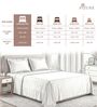 White Stripe 300 TC Cotton Super King Sized Bedsheet with 2 Pillow Covers
