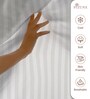 White Stripe 300 TC Cotton Super King Sized Bedsheet with 2 Pillow Covers
