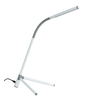 White Study Lamp with Plastic Base