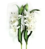 White Synthetic Fabric Lily Artificial Flower Set of 2
