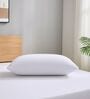 White Terry 300 TC Waterproof 18x28 inches Pillow Protector Cover (1Pc)