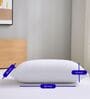 White Terry 300 TC Waterproof 18x28 inches Pillow Protector Covers Set of 2