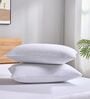 White Terry 300 TC Waterproof 18x28 inches Pillow Protector Covers Set of 2