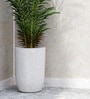 White TPC Marble Round 14 Inches Planter