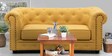 Winchester Fabric 2 Seater Sofa in Yellow Colour