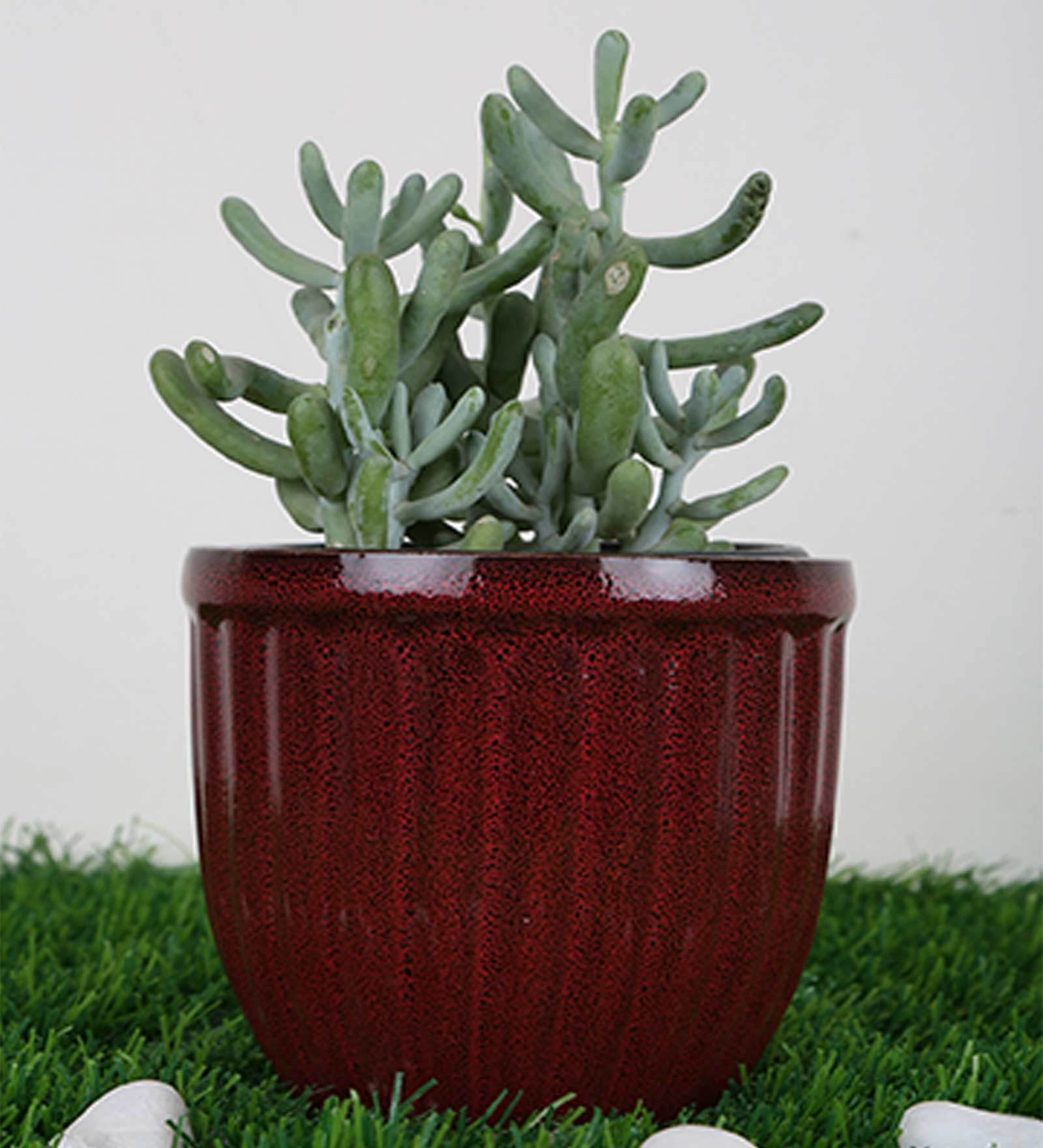 Wine Ceramic F-Kulhar Design Small Size Planter