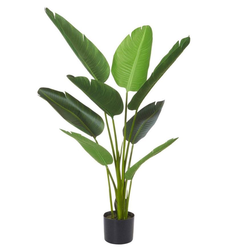 Buy Green Artificial Banana Floor Plant with Black Pot by Fourwalls ...