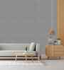 Wild Dove Design Subtle Elegance Modern Style Wallpaper
