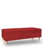 William 2 Seater Bench with Storage in Red Colour