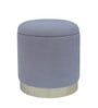 Willow Storage Sued Pouffe In Grey Colour