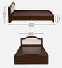 Willy Double Bed Without Storage In Wenge And Sonoma Oak Finish Willy Double Bed Without Storage In Wenge And Sonoma Oak Finish