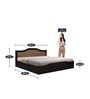 Willy Queen Size Bed in Wenge & Oak Finish with Box Storage
