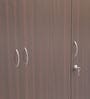 Willy 3 Door Wardrobe in Walnut Finish