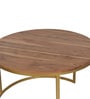 Windsor Metal Nest of Tables in Brown Finish (Set Of 2)