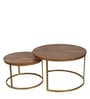 Windsor Metal Nest of Tables in Brown Finish (Set Of 2)