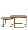 Windsor Metal Nest of Tables in Brown Finish (Set Of 2)
