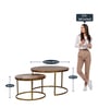 Windsor Metal Nest of Tables in Brown Finish (Set Of 2)