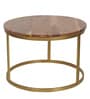 Windsor Metal Nest of Tables in Brown Finish (Set Of 2)