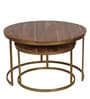 Windsor Metal Nest of Tables in Brown Finish (Set Of 2)