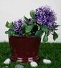 Wine Ceramic Balti Shape Planter With Stand At Base