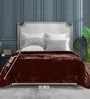 Brown Winter Mink Double Layer Heavy Cloudy Silky-Soft Single Blanket With Crochet Lace Edge