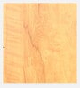 Wisdom Book Shelf in Teak Finish
