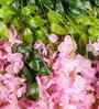 Set Of 6 Pink Plastic 3.7 Wisteria Hanging Artificial Flowers