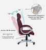 Wiwneags High Back Executive Chair In Maroon Colour