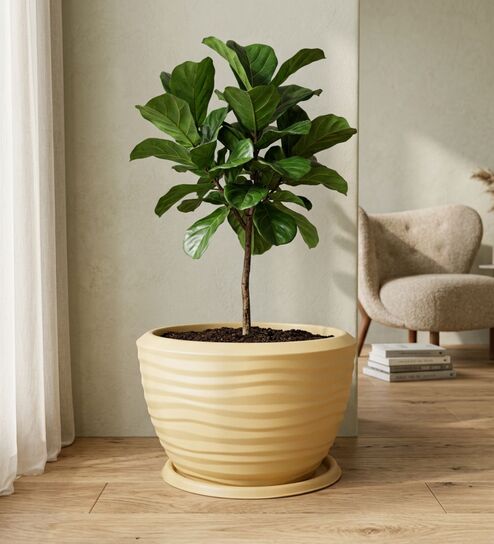 WKTR Beige 18 Inch German Polymer Round Plant Container with Saucer