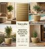 WKTR Beige 18 Inch German Polymer Round Plant Container with Saucer