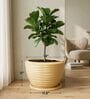 WKTR Beige 18 Inch German Polymer Round Plant Container with Saucer