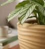WKTR Beige 18 Inch German Polymer Round Plant Container with Saucer